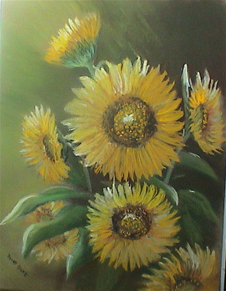 sunflowermain.jpg